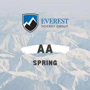 AA Spring Team
