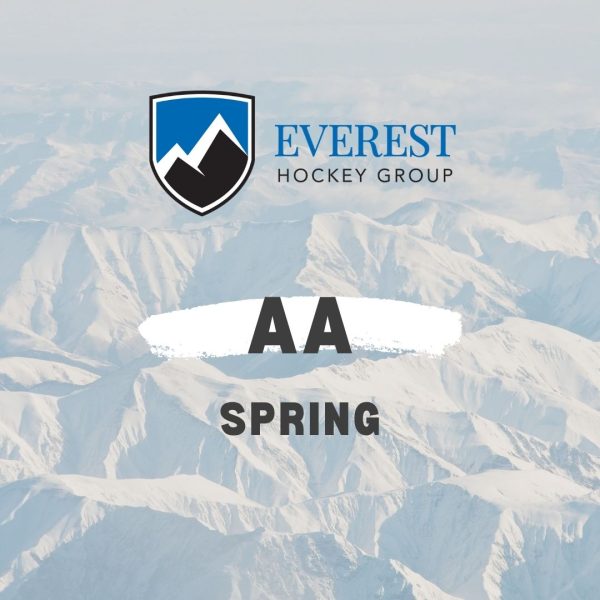 AA Spring Team