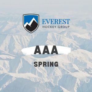 AAA Spring Team